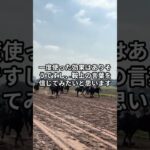 6月22日の東京1R推奨馬 #競馬 #競馬予想