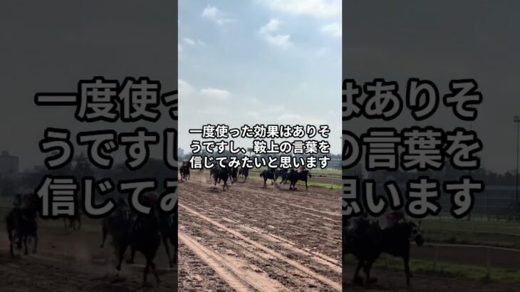 6月22日の東京1R推奨馬 #競馬 #競馬予想