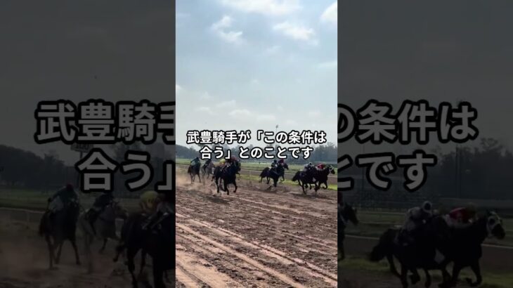 6月22日の函館2R推奨馬 #競馬 #競馬予想