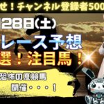 【競馬予想】6月28日(土) 厳選！注目馬紹介！【競馬】