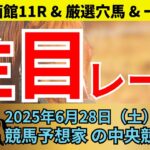 【厳選穴馬】6/28（土）中央競馬予想－函館メイン青函ステークスが目玉🔥函館1R, 4R, 7R【中央競馬】