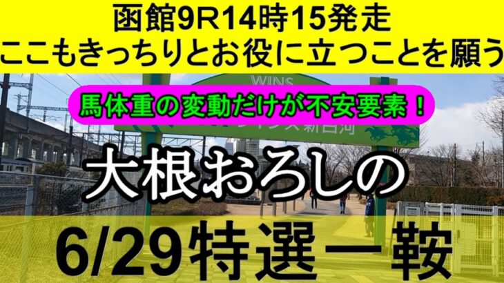 【競馬予想】6月29日の特選一鞍【大根おろし】