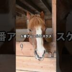 6月5日の船橋2R推奨馬 #競馬 #船橋競馬