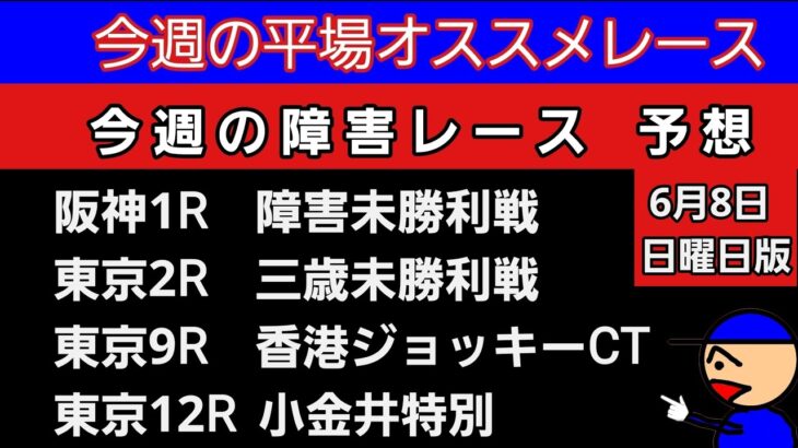 [平場オススメレースと障害レースの予想]6月8日日曜日版 #平場予想#障害予想 #競馬予想ガキチャンネル #小金井特別#香港ジョッキークラブトロフィー