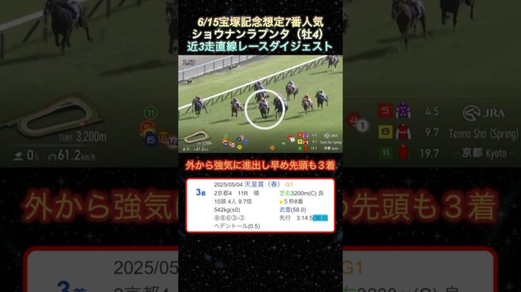 【ショウナンラプンタ】 宝塚記念想定7番人気！近3走ダイジェスト  #競馬  #宝塚記念  #ショウナンラプンタ  #shorts
