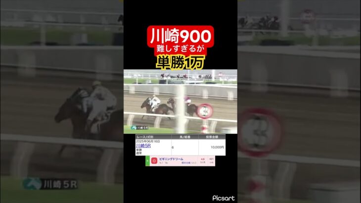 【発狂確定】川崎900本当に難しいです。　#競馬 #競馬予想 #jra #地方競馬 #ギャンブル #ウマ娘 #ウマ娘プリティーダービー #ギャンブル依存症 #武豊 #単勝