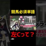 競馬予想で超重要な「左C」 #競馬