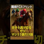 園田FCスプリント ガチで逃げ切るヤツ、マジで1頭だけ説 #競馬 #園田競馬 #園田FCスプリント #重賞予想 #競馬予想 #無料予想 #競馬好き #馬券 #馬券生活 #競馬情報 #競馬ファン