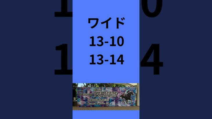 GⅠ安田記念買い目 #安田記念 #競馬 #競馬予想