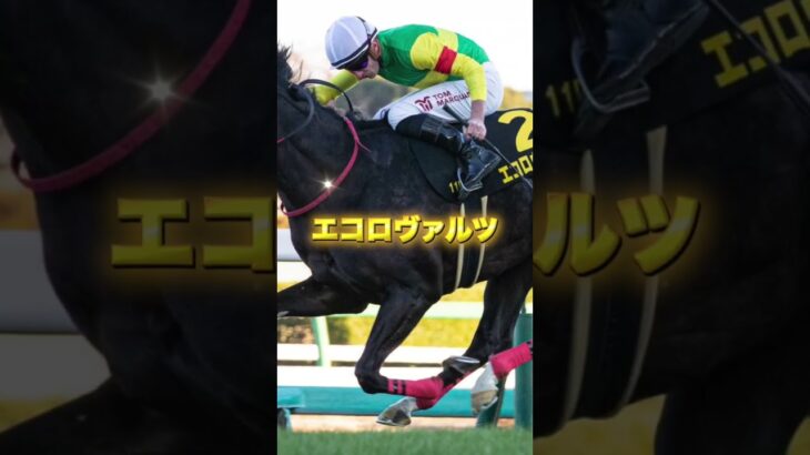 G1安田記念の穴馬を３頭紹介＃競馬＃競馬予想＃ウインマーベル＃エコロヴァルツ＃ウォーターリヒト