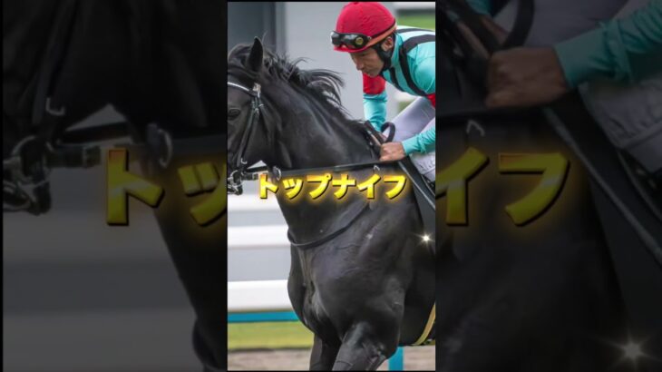 G3函館記念の穴馬を紹介＃競馬＃競馬予想＃夏競馬＃ボーンディスウェイ＃トップナイフ＃ヴェローチェエラ