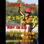 しらさぎステークスG3　チェルビニア追い切り評価　 #競馬　#shorts 　#追い切り　 #競馬予想