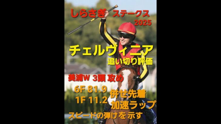 しらさぎステークスG3　チェルビニア追い切り評価　 #競馬　#shorts 　#追い切り　 #競馬予想