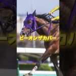 G3ラジオNIKKEI賞の穴馬を紹介＃競馬#競馬予想＃夏競馬＃スナークピカソ＃ショウナンマクベス＃ビーオンザカバー