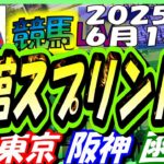 【競馬 JRA全レース予想ライブ】函館ＳＳ。東京、阪神、函館