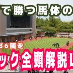 【JRAライブ】競馬記者が全レースのパドックを解説【宝塚記念】
