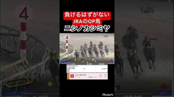 【発狂確定】JRAのOP馬ニシノカシミヤがこんなところで負けるはずがないので単勝勝負した結果… #競馬 #競馬予想 #jra #地方競馬 #ウマ娘 #ウマ娘プリティーダービー #ギャンブル