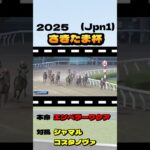 【さきたま杯(Jpn1)】”本命対抗” #競馬 #競馬予想 #さきたま杯 #Jpn1 #シャマル #コスタノヴァ #エンペラーワケア #チカッパ #タガノビューティー #ムエックス #レモンポップ