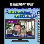 愛猫登場の ”神回” 切り抜き【競馬予想LIVE配信】25年5月31日（土）#日本ダービー2025 前夜祭 #ライブ配信 #中央競馬予想 #ねこ #ラップタイム分析