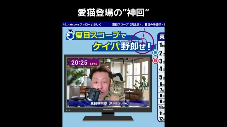 愛猫登場の ”神回” 切り抜き【競馬予想LIVE配信】25年5月31日（土）#日本ダービー2025 前夜祭 #ライブ配信 #中央競馬予想 #ねこ #ラップタイム分析