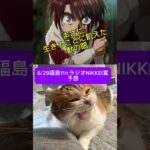 しゃろのラジオNIKKEI賞予想動画#猫 #cat #競馬予想 #競馬#福島#2025#ラジオnikkei賞 #ウマ#馬#tokio#国分太一#からくりサーカス #才賀勝