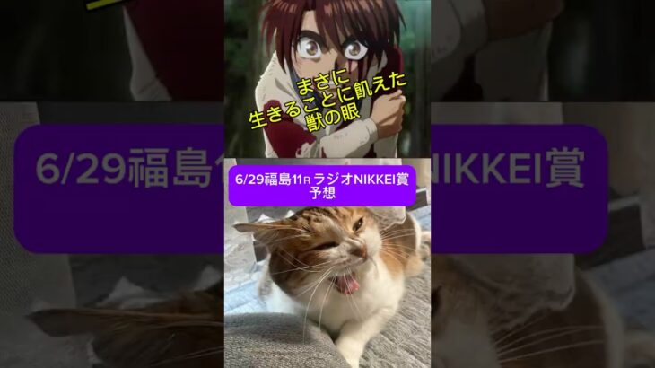 しゃろのラジオNIKKEI賞予想動画#猫 #cat #競馬予想 #競馬#福島#2025#ラジオnikkei賞 #ウマ#馬#tokio#国分太一#からくりサーカス #才賀勝