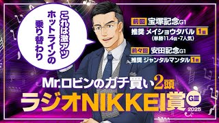 【ラジオNIKKEI賞】宝塚記念で帯封ゲット！得意の夏競馬で好配当を狙う激アツの2頭【競馬予想】