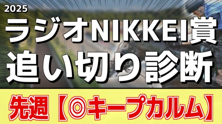 追い切り徹底解説！【ラジオNIKKEI賞2025】トレサフィール、バズアップビートなどの状態はどうか？調教S評価は2頭！
