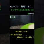 【買っちゃえばいいじゃん】ラジオNIKKEI賞(ＧIII) 2025 #競馬予想 #win5