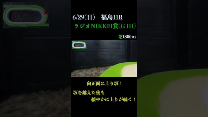 【買っちゃえばいいじゃん】ラジオNIKKEI賞(ＧIII) 2025 #競馬予想 #win5