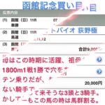 函館記念・ラジオNIKKEI賞・鶴ヶ城S・湯の川温泉特別 予想 買い目2025年