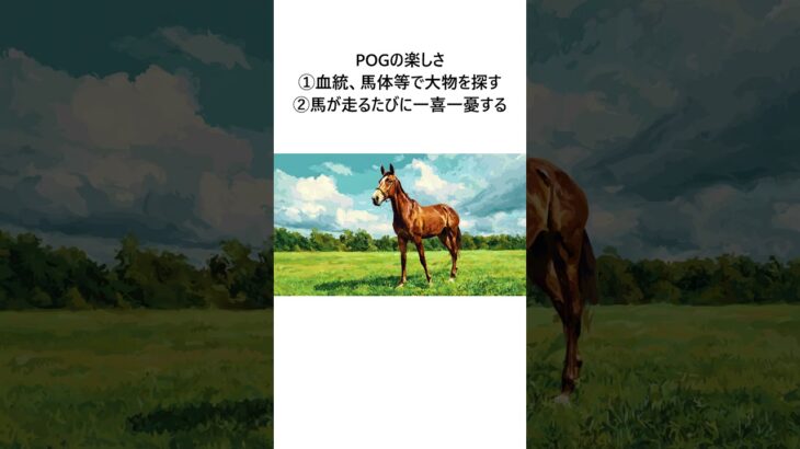競馬雑学 POGに参加してみよう編 #競馬 #競馬予想 #推奨馬 #競馬雑学 #pog #2歳戦