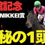 【日曜特別R競馬予想】ラジニケ好走条件を満たす信頼軸軽ハンデ馬。秘伝の軽ハンデの隠れ適性最強穴馬！【函館記念/ラジオNIKKEI賞2025】