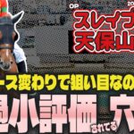 【土曜特別R競馬予想まとめ】東京阪神ともにコース変わり。バイアス有利の過小評価穴馬は？【スレイプニルS/天保山S2025】