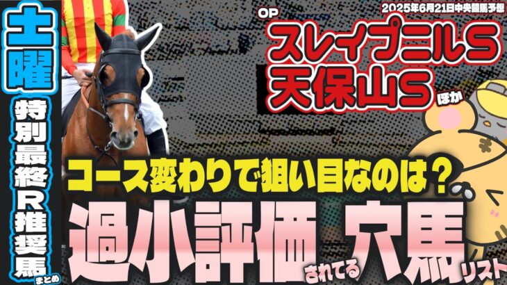 【土曜特別R競馬予想まとめ】東京阪神ともにコース変わり。バイアス有利の過小評価穴馬は？【スレイプニルS/天保山S2025】