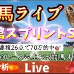 【競馬】函館スプリントSを当てたい 走法分析【中央競馬ライブ】
