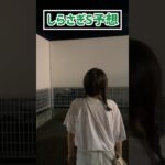 【しらさぎS予想】みなさんの本命も教えてください！！#競馬予想 #しらさぎステークス