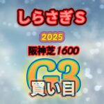 【しらさぎステークス】しらさぎS私買い目予想#競馬 #競馬予想 #中央競馬予想 #しらさぎステークス