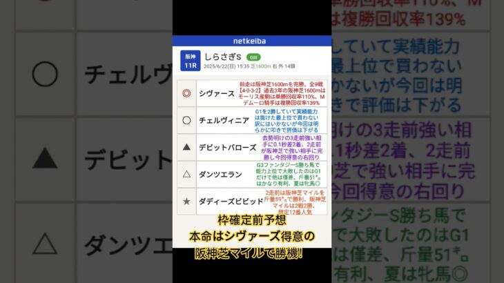#しらさぎS#競馬予想 #しらさぎステークス#シヴァーズ#チェルヴィニア #ダンツエラン#デビットバローズ#埼玉県本庄市 #しらさぎ #競馬生活 #ラーメン居酒屋 #本庄ラーメン #馬券予想