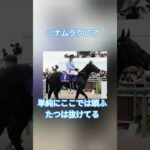 函館スプリントS直前予想＆買い目　#競馬　#競馬予想