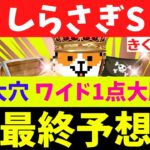 【しらさぎS 2025 最終予想】【絶好調の中穴人気と信頼の本命を狙う！】G1安田記念【ワイド1点】(1730％)的中！◎ガイアフォース(9人気)◎ソウルラッシュ(1人気)