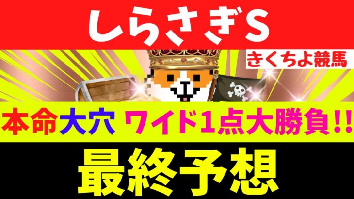 【しらさぎS 2025 最終予想】【絶好調の中穴人気と信頼の本命を狙う！】G1安田記念【ワイド1点】(1730％)的中！◎ガイアフォース(9人気)◎ソウルラッシュ(1人気)