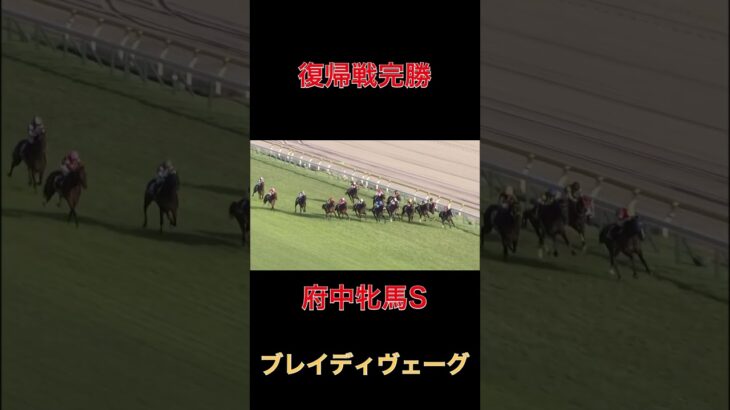 復帰戦完勝ブレイディヴェーグ【府中牝馬S】#競馬#予想#馬券