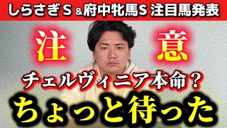 【府中牝馬S &しらさぎS】【予想】ポテンシャルだけで勝たないといけないあの馬は危険かもしれません