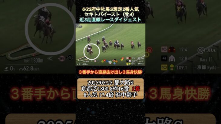 【セキトバイースト】 府中牝馬S想定2番人気！近3走ダイジェスト  #競馬  #府中牝馬ステークス  #セキトバイースト  #shorts