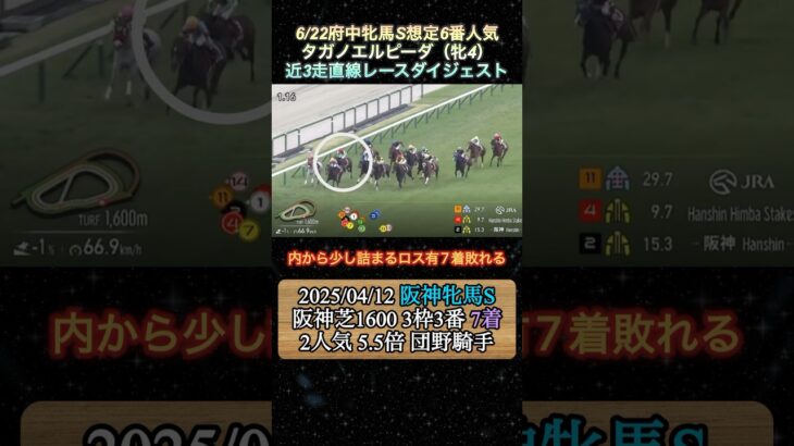 【タガノエルピーダ】 府中牝馬S想定6番人気！近3走ダイジェスト  #競馬  #府中牝馬ステークス  #タガノエルピーダ  #shorts
