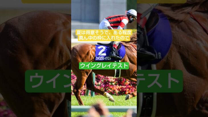 宣伝部員の函館SS印#競馬#函館SS#競馬予想#宝塚記念#函館