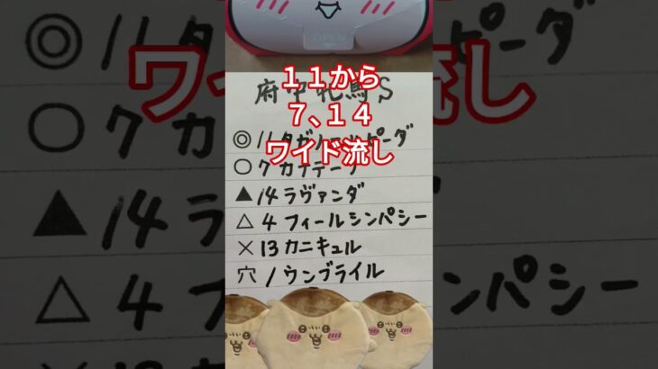 府中牝馬S、しらさぎS予想　#府中牝馬S　#府中牝馬ステークス　#しらさぎS　#しらさぎステークス　#競馬　#競馬予想　#中央競馬　#中央競馬予想　#JRA