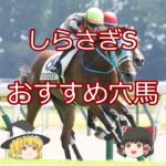 【しらさぎS】おすすめ穴馬＃競馬予想＃競馬#shorts