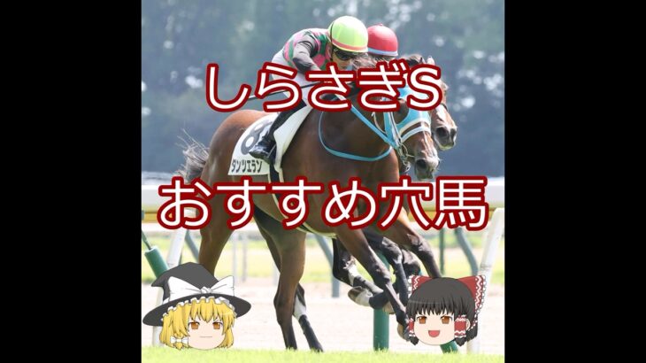 【しらさぎS】おすすめ穴馬＃競馬予想＃競馬#shorts